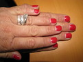 Shellac Wildfire - Lynne Day 1 