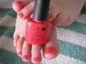 Shellac Tropix - Jenny Day 1
