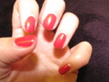 Shellac Wildfire - Day 8 