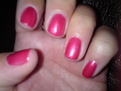 Shellac Hot Chillies - Day 1