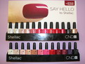 All 24 Shellac colours