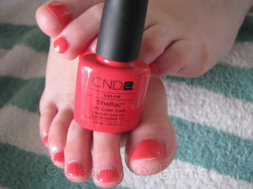 Shellac Tropix - Jenny Day 1 